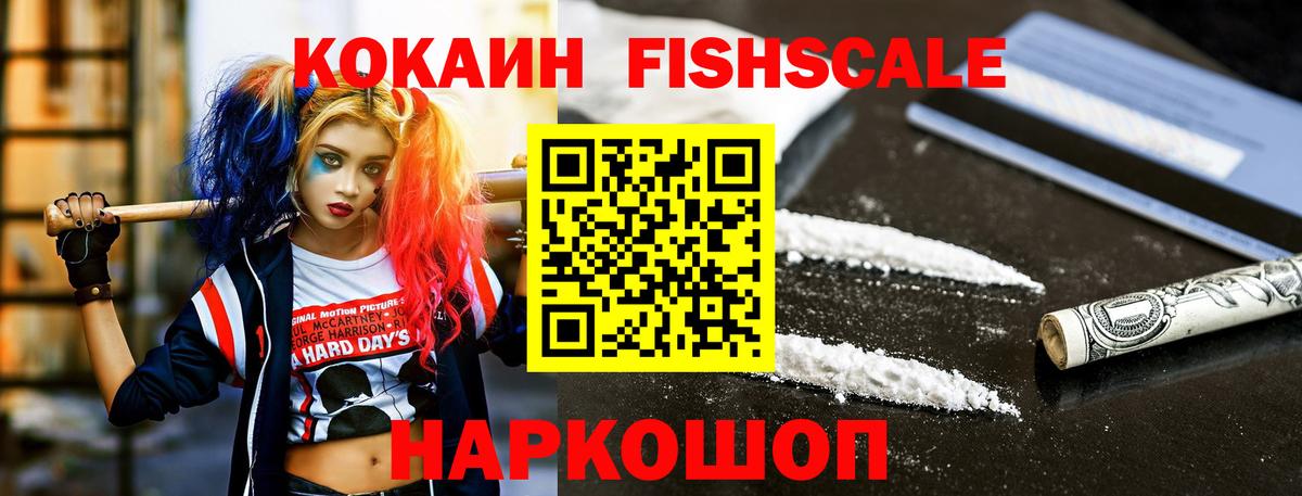 Cocaine FishScale  купить наркотик  Великий Устюг  COCAIN 