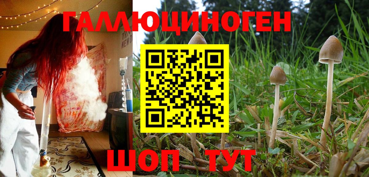 Галлюциногенные грибы ЛСД  Псилоцибиновые грибы ЛСД  Великий Устюг 