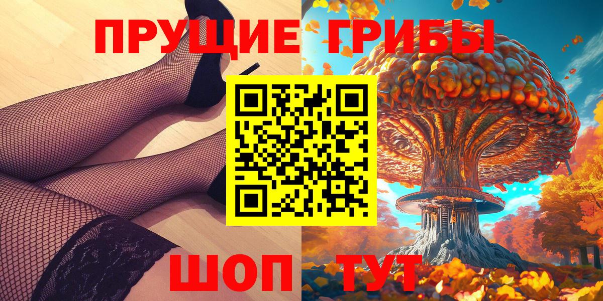 Галлюциногенные грибы Psilocybine cubensis Великий Устюг