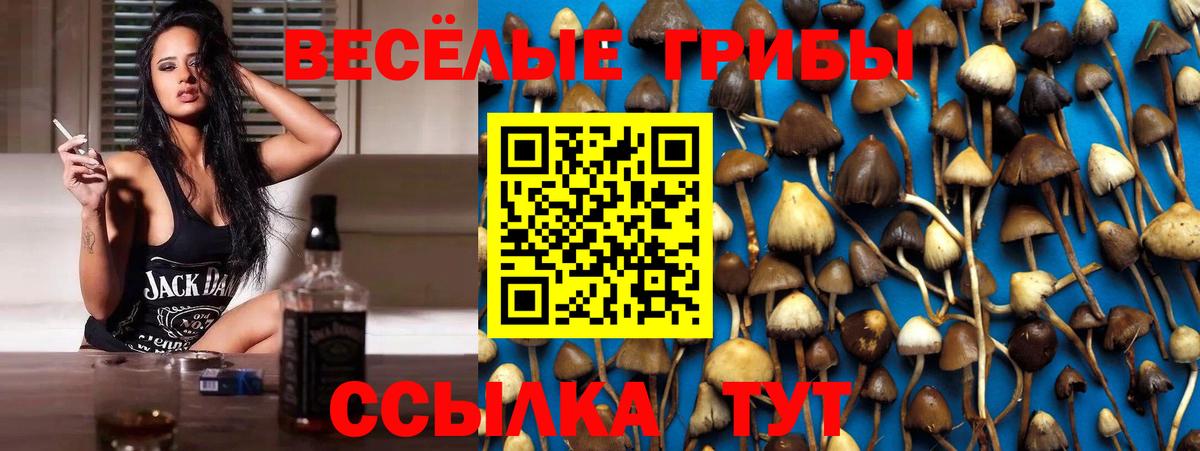 Галлюциногенные грибы мицелий Великий Устюг